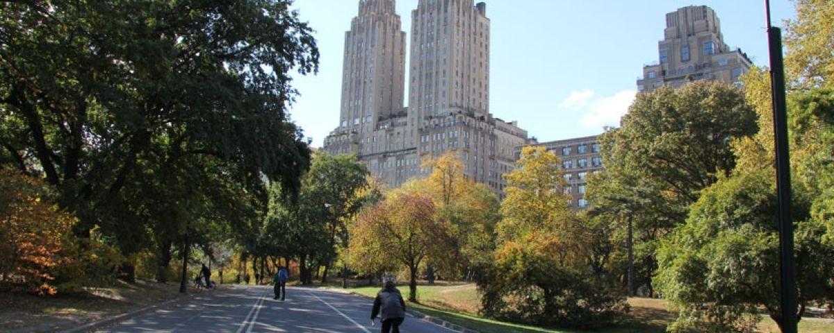 kleur woede Oefening Fietsen in Central Park New York | Reizen door Amerika