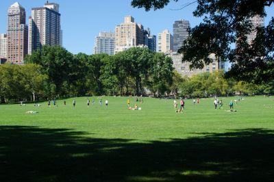 Central Park in New York