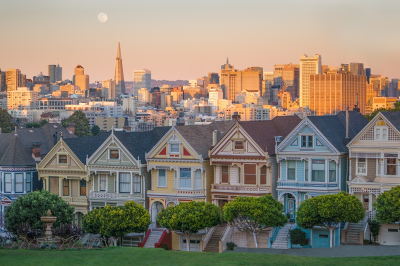 Painted Ladies