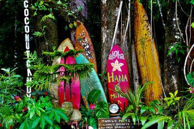 Road to Hana in Hawaii