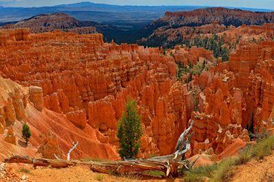 De Hoodoos